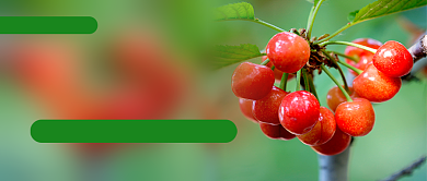 小满节气习俗公众号首图背景