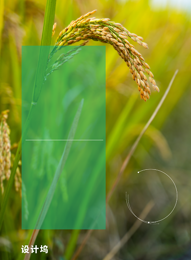 全国科技工作者日创意系列水稻农业宣传海报背景