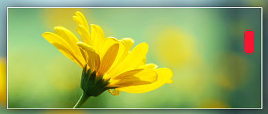 简约立夏传统节气公众号首图背景