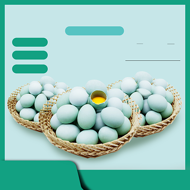 鲜鸡蛋电商直通车主图背景