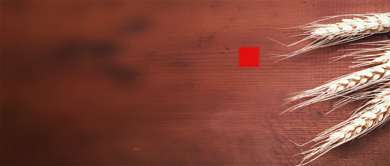 芒种传统节气公众号封面背景