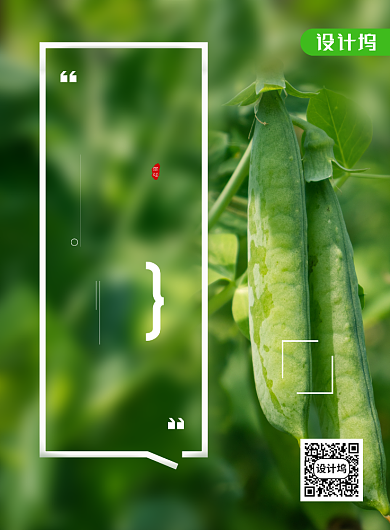 简约健康素食日绿色蔬菜宣传海报背景
