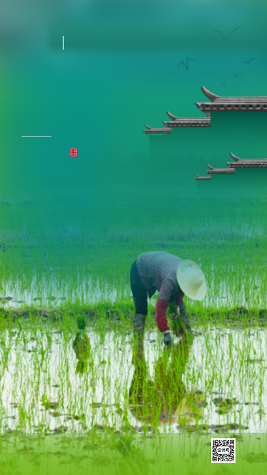 绿色劳动节日海报背景