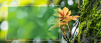 早安你好清晨追梦人公众号首图背景