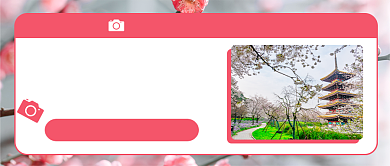 随手拍春天公众号首图背景