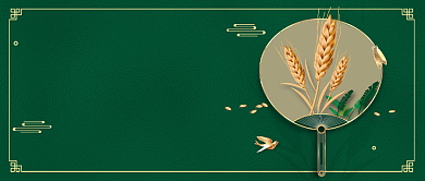 夏日小满夏天第二个节气背景