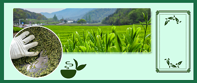 春茶上市手绘公众号首图背景