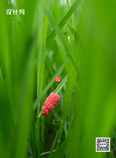 绿色简约大暑时节海报背景