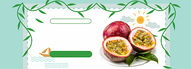 水果百香果清新促销banner背景