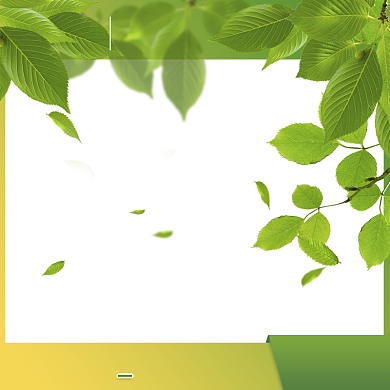 绿色清新五一商品促销主图图标背景