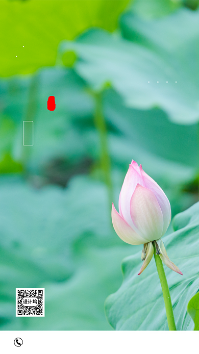 时尚简约荷塘夏至海报背景