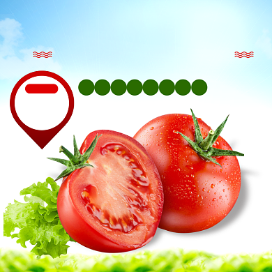 尝鲜价蔬菜直通车模板背景