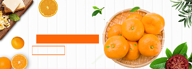 水果促销模版banner背景