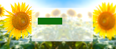 小清新四月你好新媒体配图背景