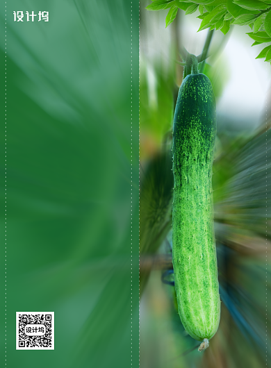 简约健康素食日蔬菜宣传海报背景