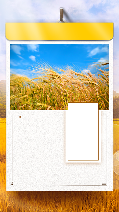 芒种节日手机海报背景