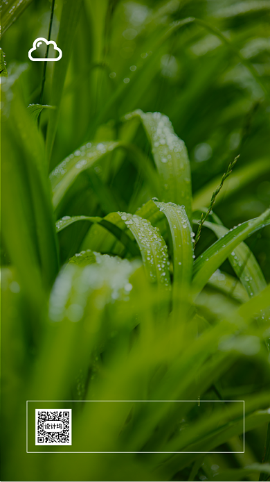 谷雨房地产日签手机海报背景