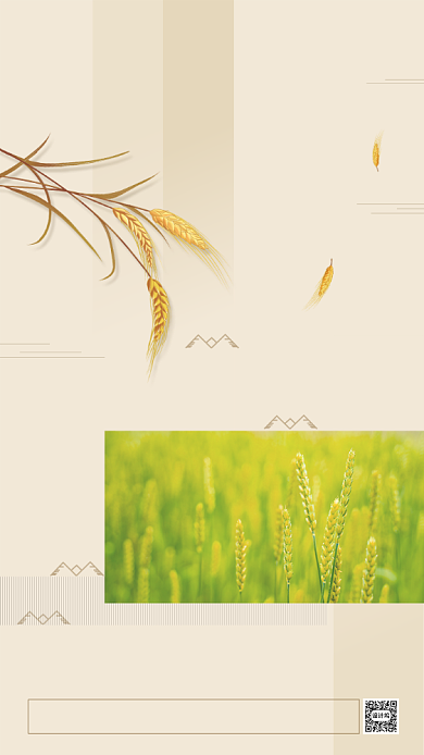 时尚简约芒种海报背景