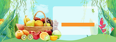 新鲜水果特惠banner背景