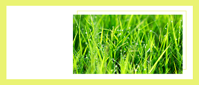 清明节踏青公众号首图背景