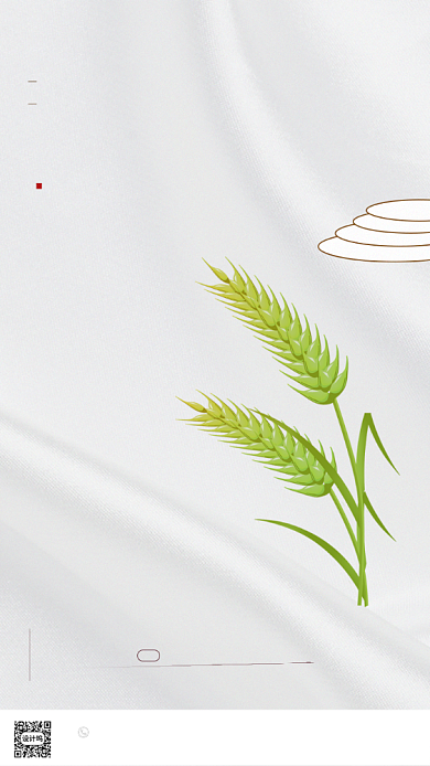 时尚简约芒种海报背景