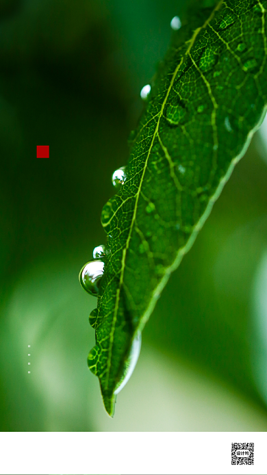 清新简约谷雨节气海报背景