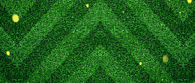 你好七月创意草坪公众号首图背景