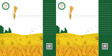 插画风格大米手提袋包装设计背景