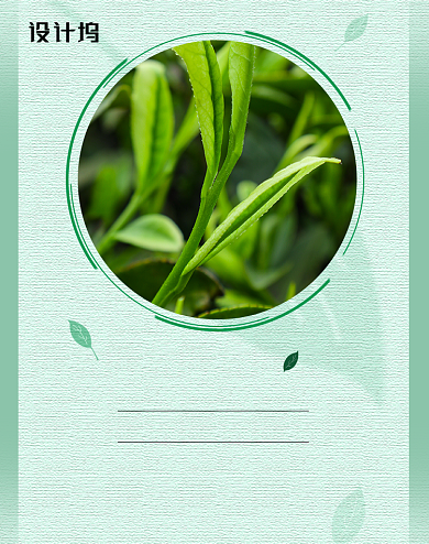 浅绿色电商淘宝天猫茶叶海报背景