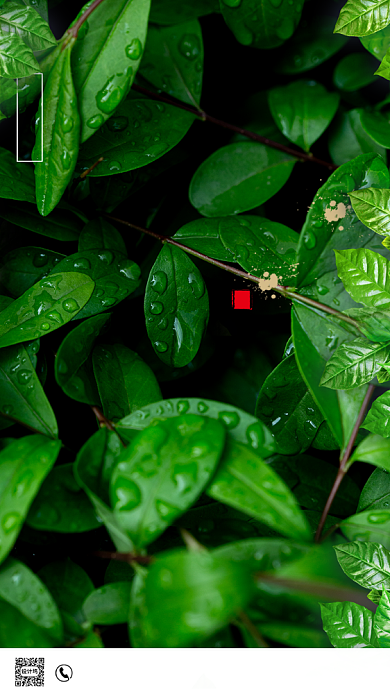 时尚简约夏至摄影海报背景