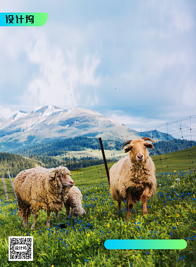 风味人间宿野人家海报背景