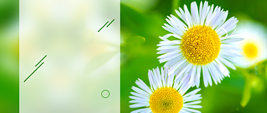 绿色小清新你好七月新媒体配图背景