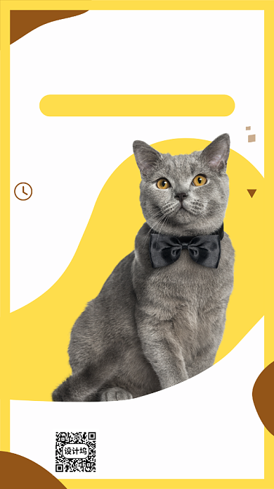 宠物店猫咪宣传海报背景