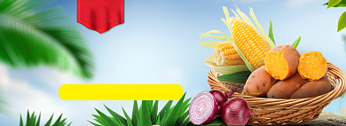 水果尝鲜海报banner模板背景