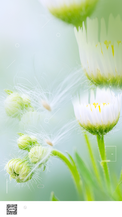 文艺清新六月你好背景