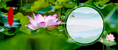 立夏荷花新媒体首图背景