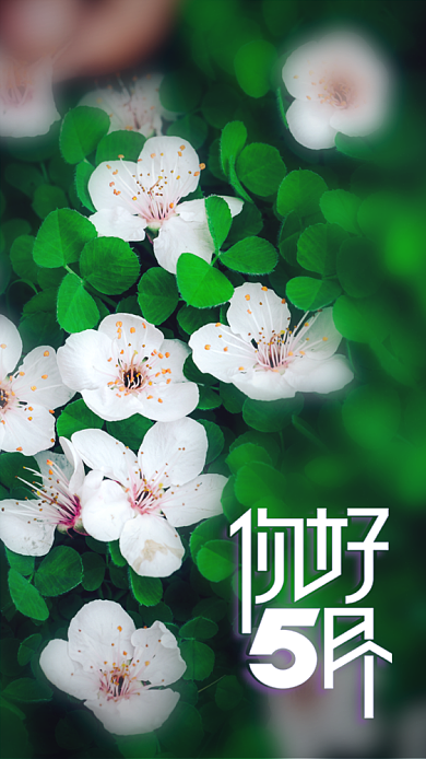 5月你好清新花朵海报背景