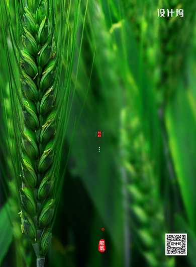 小清新传统节日小满海报背景