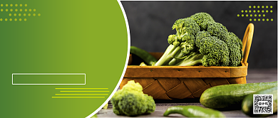 绿色清新纯天然无公害蔬菜公众号首图背景