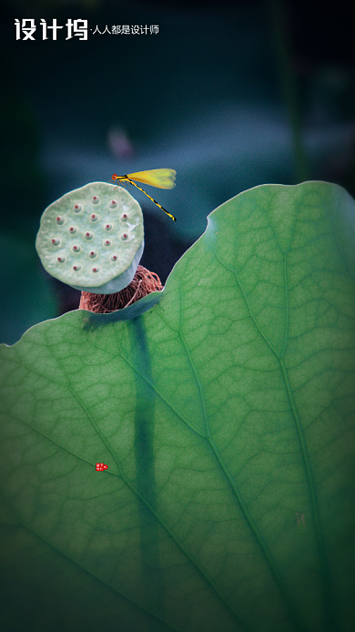 传统节气小暑房地产手机海报背景