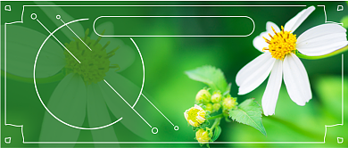 六月你好新媒体首图背景