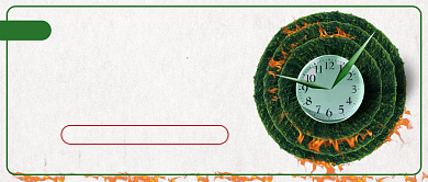 四川西昌突发森林火灾背景