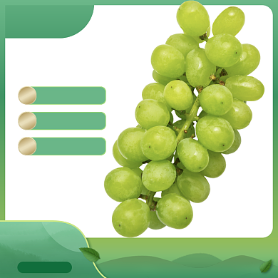 水果促销模版直通车背景