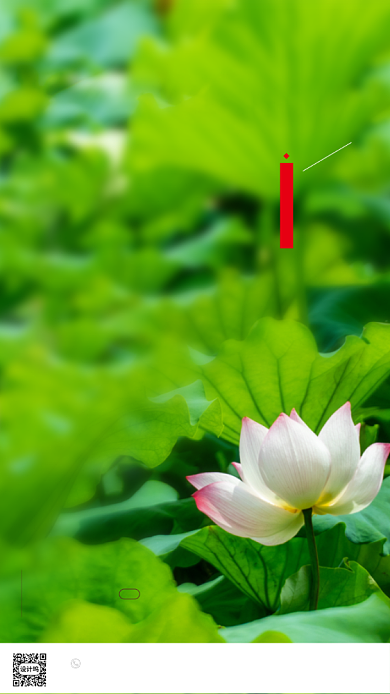 文艺清新夏至海报背景