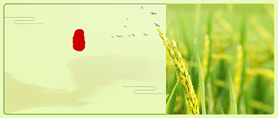 二十四节气小满公众号首图背景