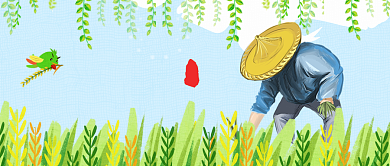 清新节气小满时节公众号首图背景