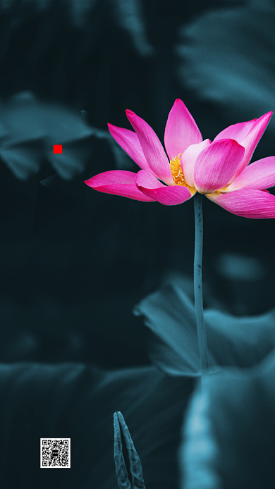 房地产二十四小暑节气手机海报背景