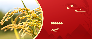 节气芒种红色简约新媒体配图背景