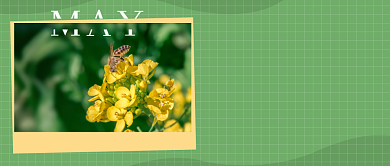 5月你好问候公众号首图背景