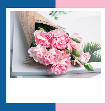 母亲节快乐文艺小清新公众号次图背景